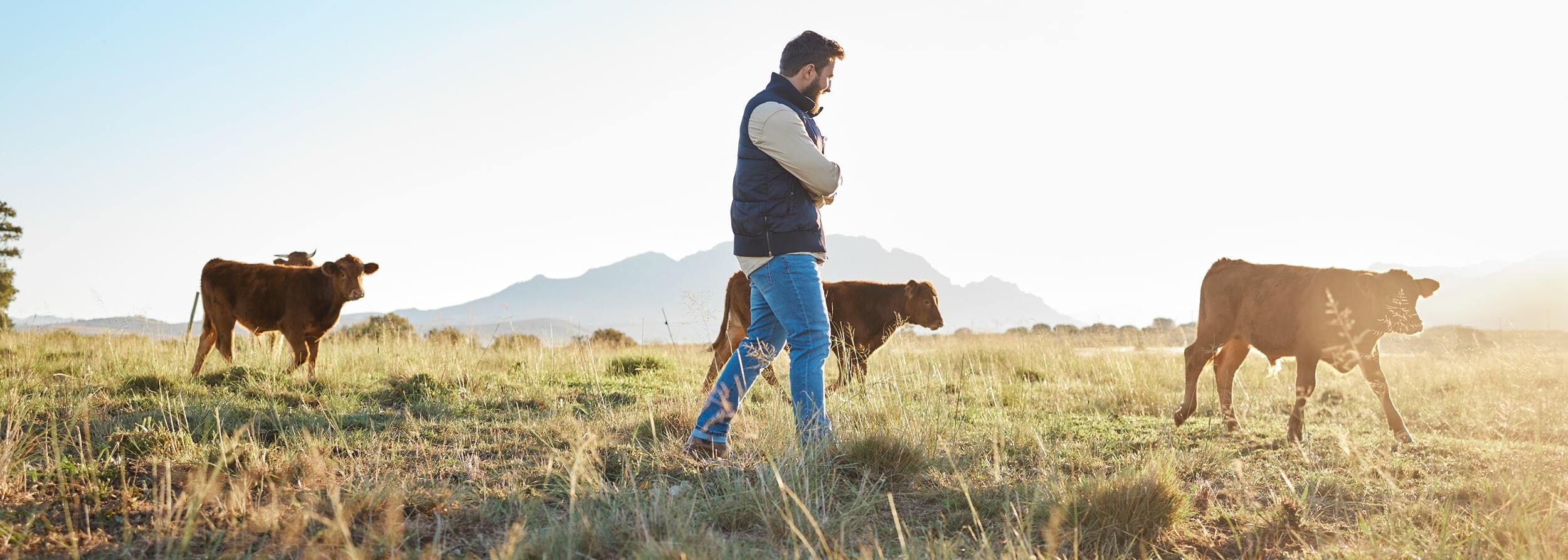 banner expertise min