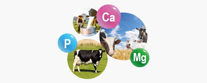 Nova Premix mode action Tonic