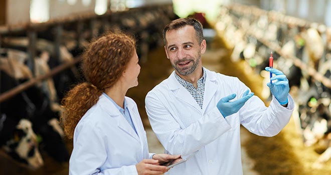 Nova Premix expertise technique