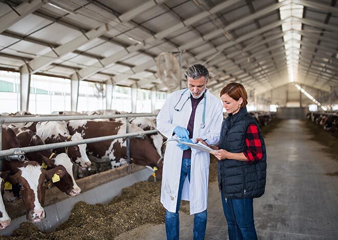 formulation rationnement img2